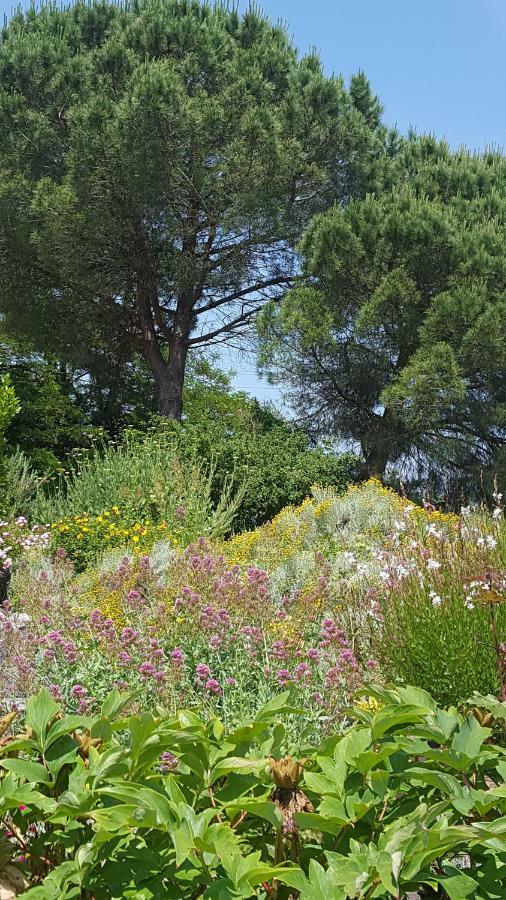 Au Calme Chez L'Habitant Foulayronnes Exteriör bild